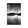 Lone Tree Reflection product shot on white background