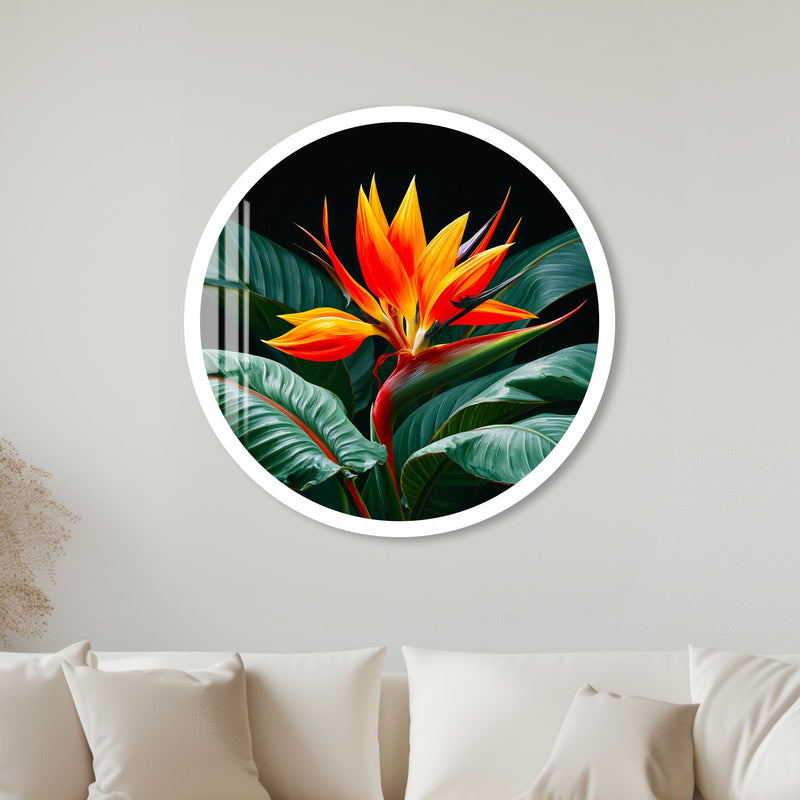 Tropical Bird Of Paradise with white frame