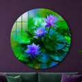 Vibrant Lotus Pond lifestyle view