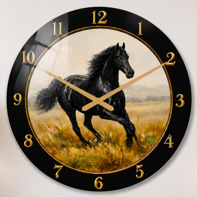 Black Stallion lifestyle view