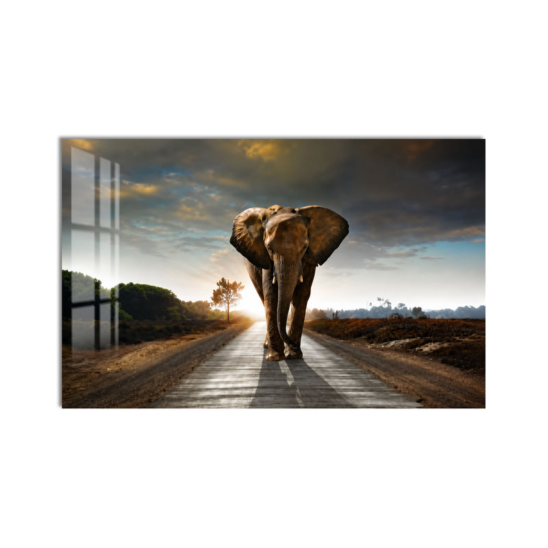 Elephant on the Open Road product shot on white background