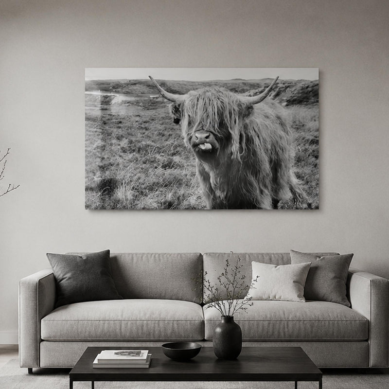 Playful Highland Cow lifestyle view