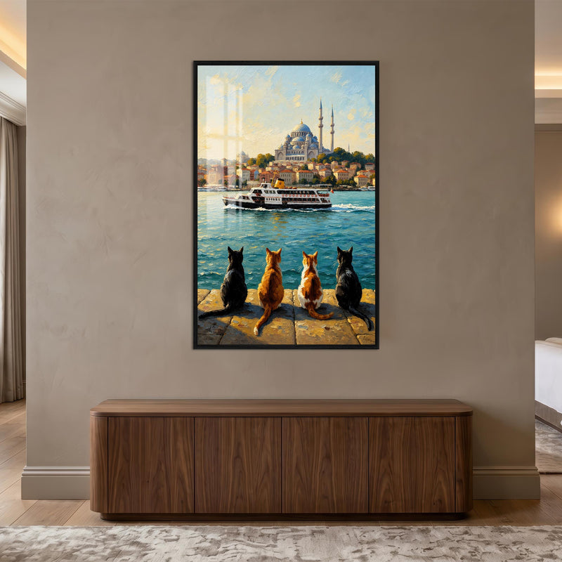 Cats Of Istanbul lifestyle view