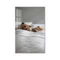 Sleepy Bear Pair product shot on white background