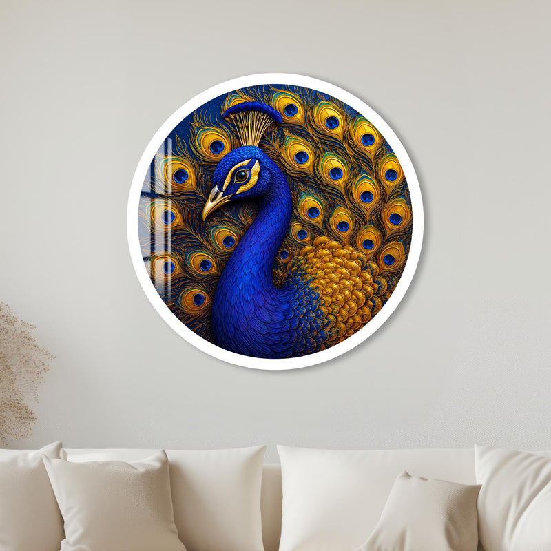Regal Peacock Splendor with white frame