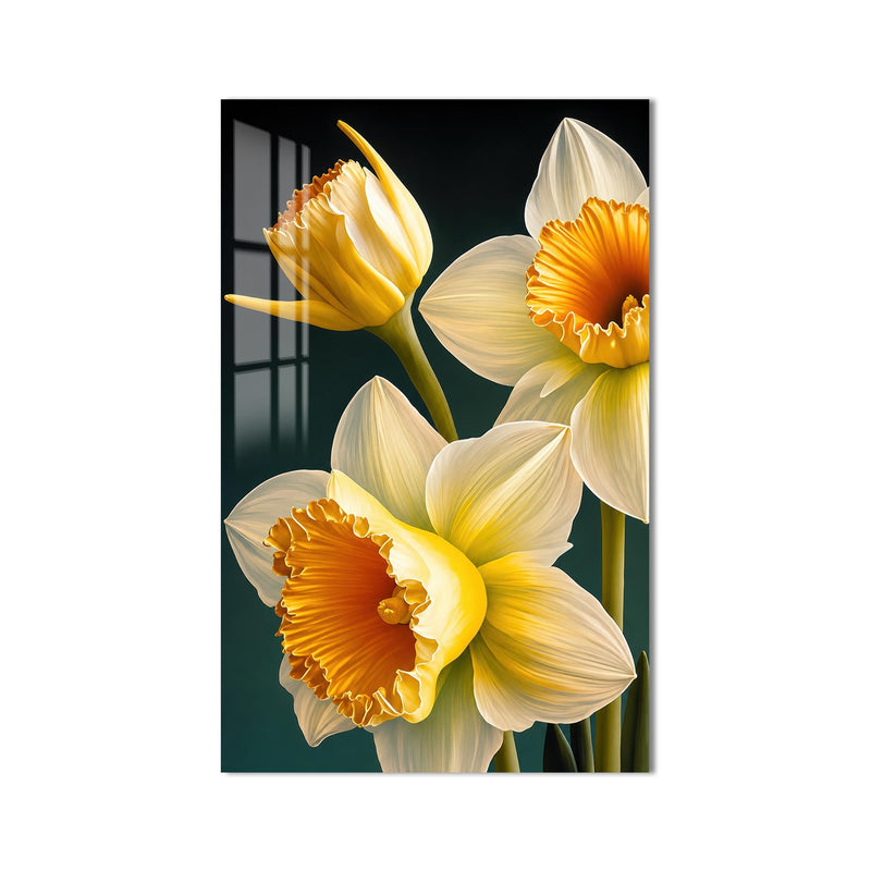 Golden Daffodil Bloom product shot on white background