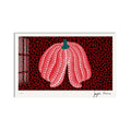 Dotted Red Pumpkin product shot on white background