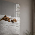 Sleepy Bear Pair lifestyle view