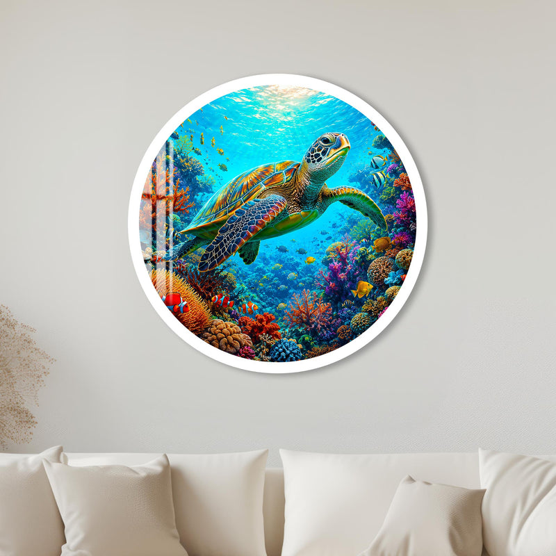 Tropical Sea Turtle with white frame