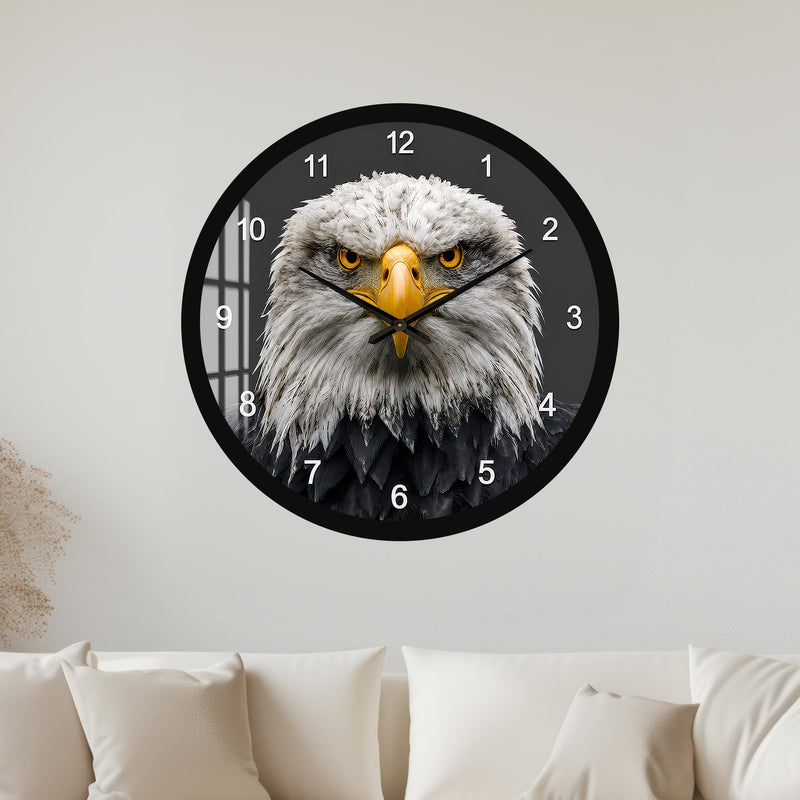 Majestic Bald Eagle with black frame
