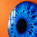 Electric Blue Iris lifestyle view