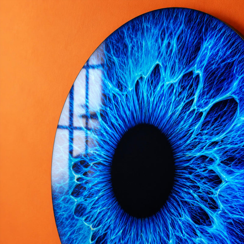Electric Blue Iris lifestyle view