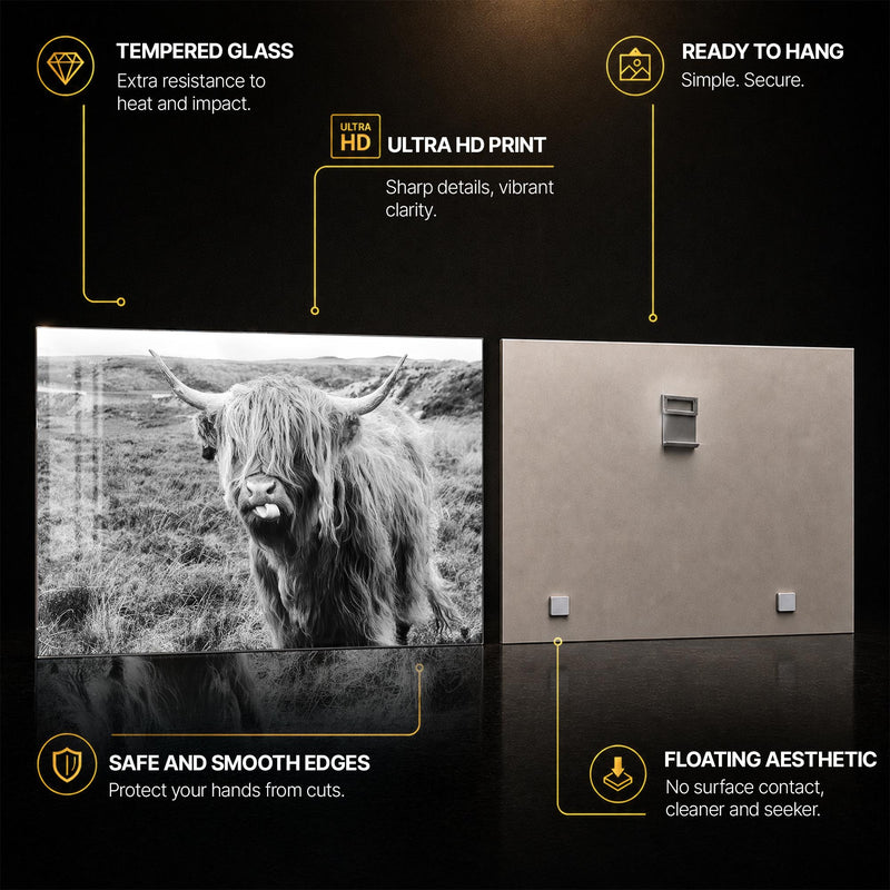 Playful Highland Cow — tempered glass, ultra HD print, ready to hang