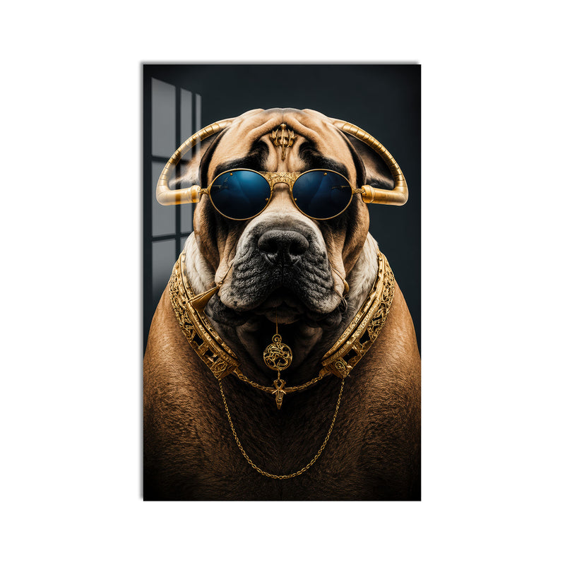 Regal Mastiff product shot on white background