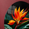 Tropical Bird Of Paradise lifestyle view