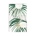 Tropical Rhythm product shot on white background