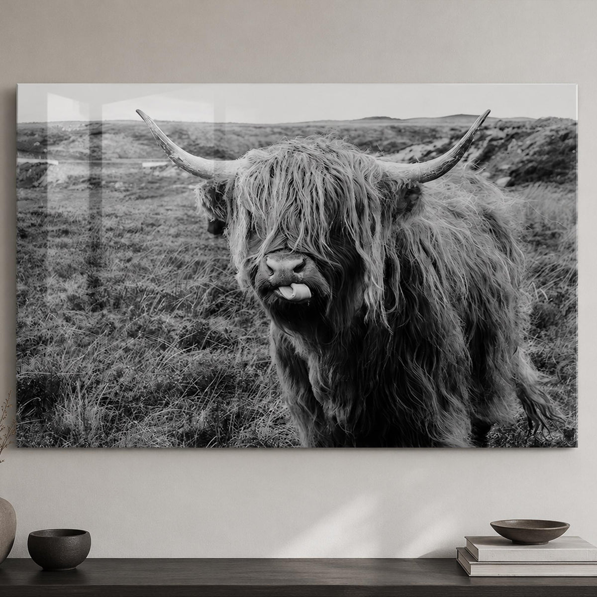 Playful Highland Cow lifestyle view