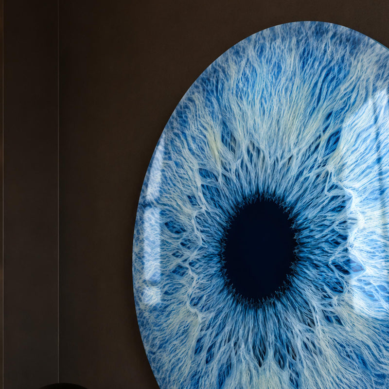 Arctic Blue Iris lifestyle view