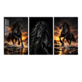 Black Horse lifestyle view