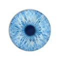 Arctic Blue Iris product shot on white background