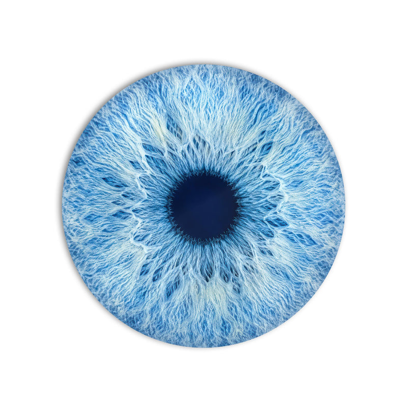 Arctic Blue Iris product shot on white background