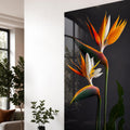 Bird Of Paradise Blooms lifestyle view