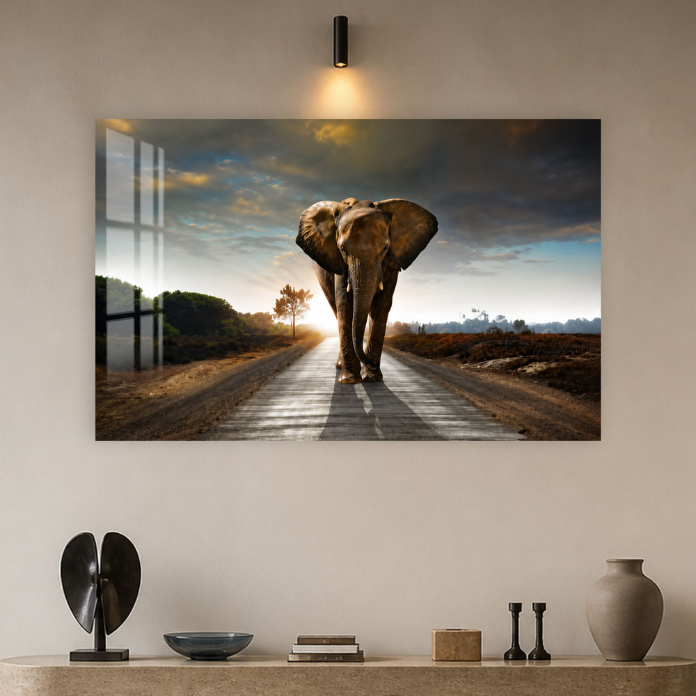 Elephant on the Open Road in a modern room