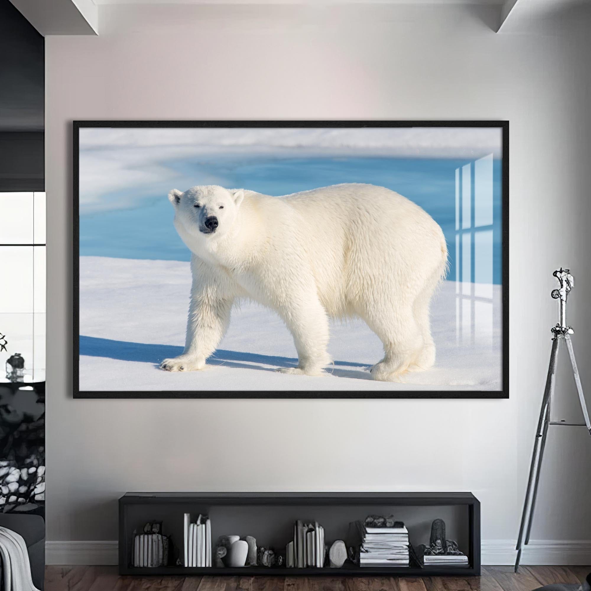 Artronauts Glass Print S | 72x46 cm | 28.3"x18.1" / Black Polar Bear on Arctic Snow – Animal Tempered Glass Wall Art