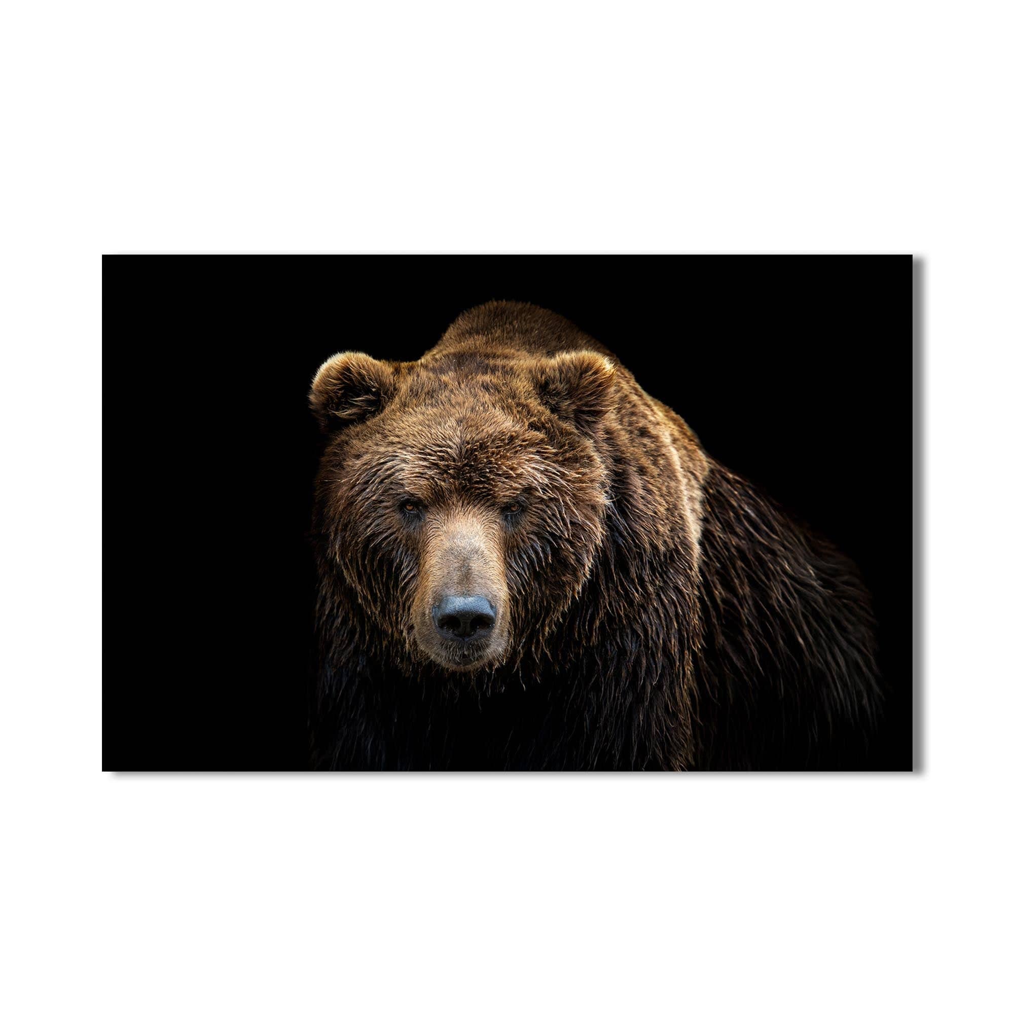 Artronauts Glass Print Brown Bear Portrait – Animal Tempered Glass Wall Art