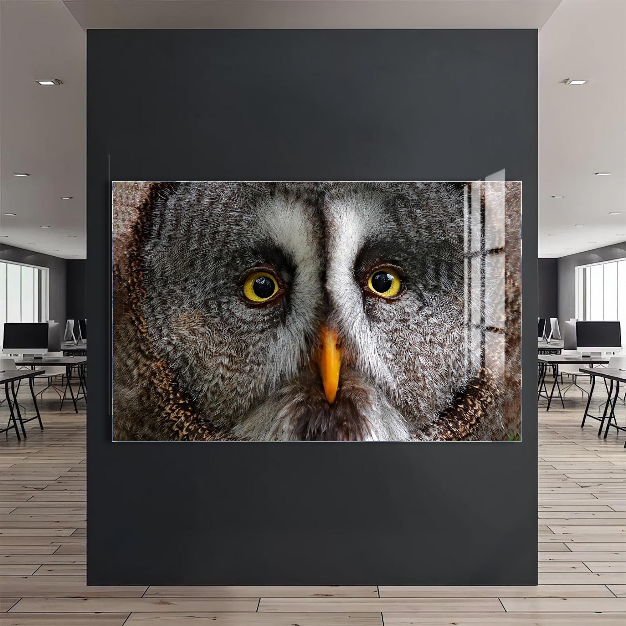 Artronauts Glass Print Grey Owl Portrait – Animal Tempered Glass Wall Art