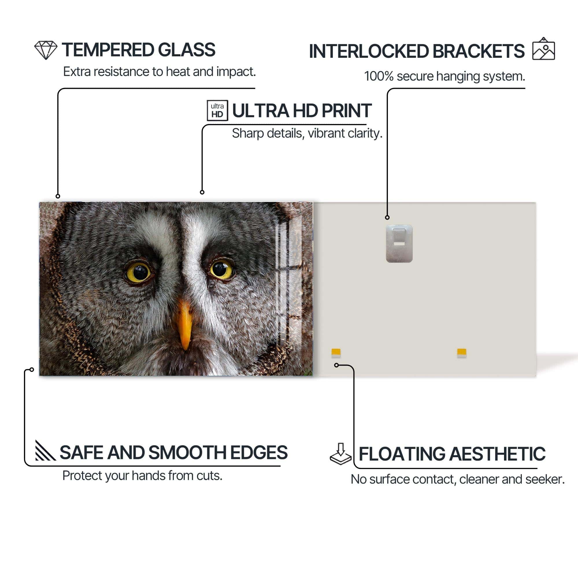Artronauts Glass Print Grey Owl Portrait – Animal Tempered Glass Wall Art