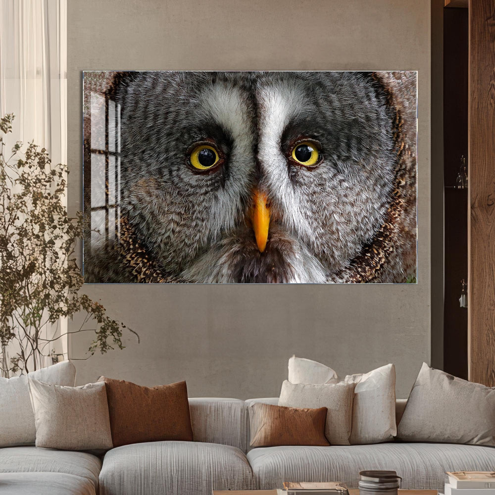 Artronauts Glass Print Grey Owl Portrait – Animal Tempered Glass Wall Art