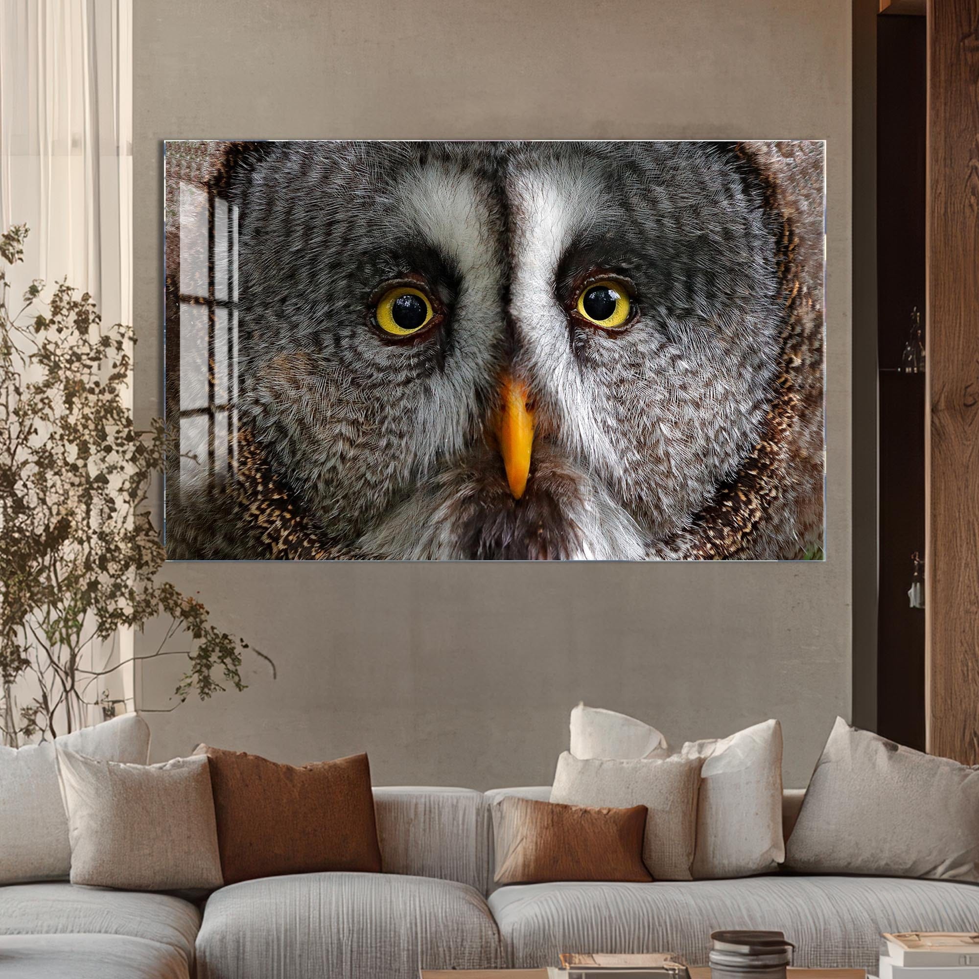 Artronauts Glass Print Grey Owl Portrait – Animal Tempered Glass Wall Art