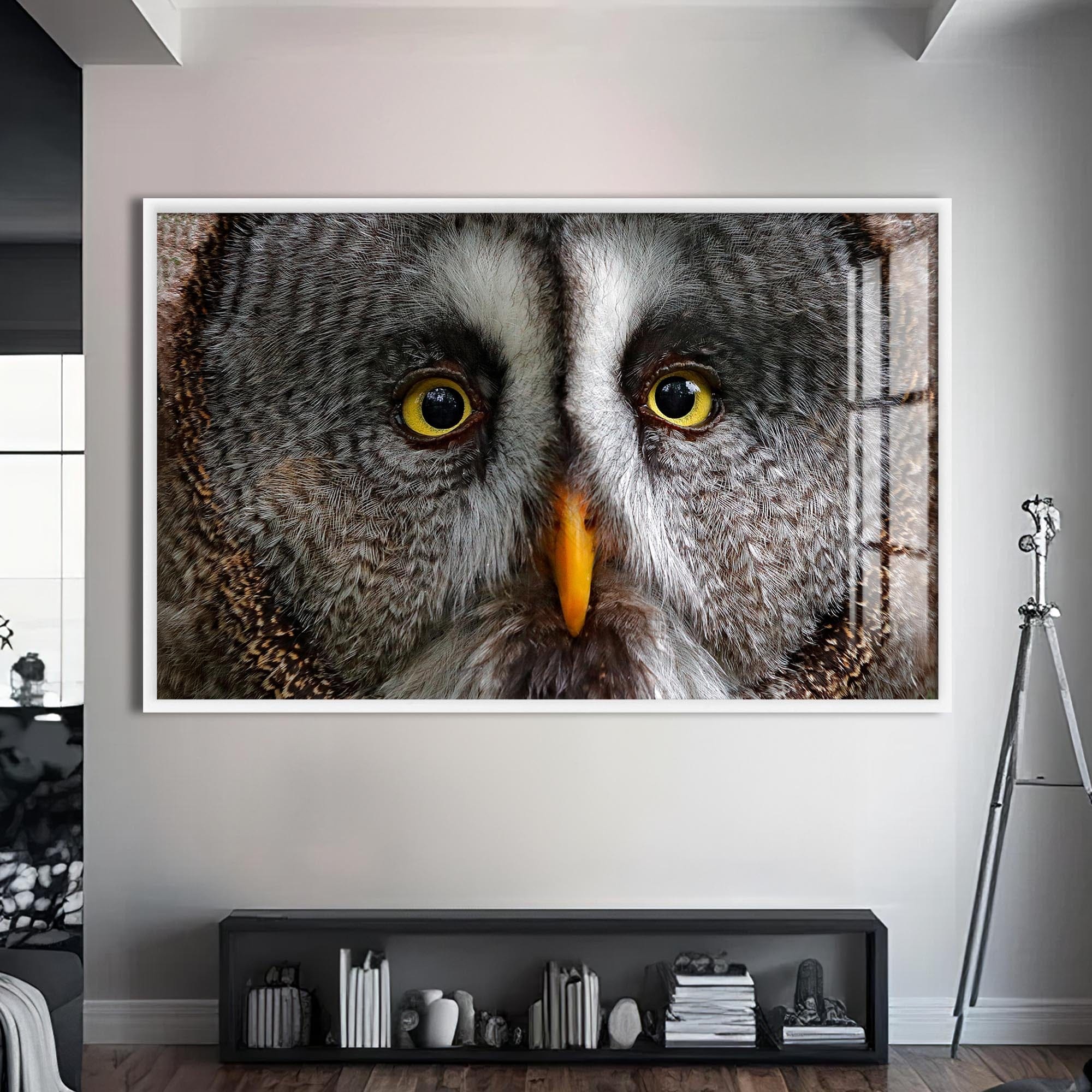Artronauts Glass Print S | 72x46 cm | 28.3"x18.1" / White Grey Owl Portrait – Animal Tempered Glass Wall Art