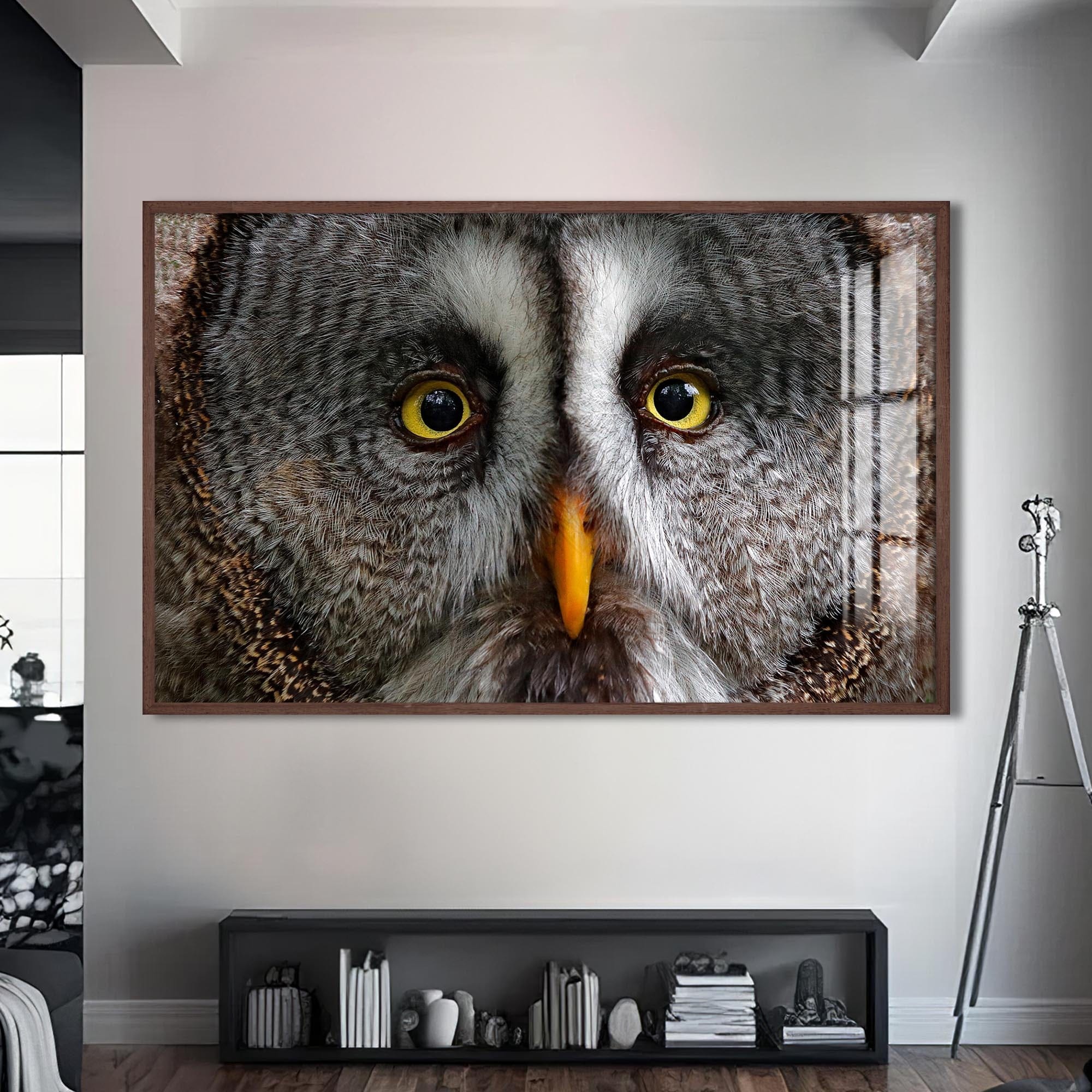 Artronauts Glass Print S | 72x46 cm | 28.3"x18.1" / Walnut Grey Owl Portrait – Animal Tempered Glass Wall Art