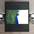 Artronauts Glass Print White Peacock Elegance – Animal Tempered Glass Wall Art
