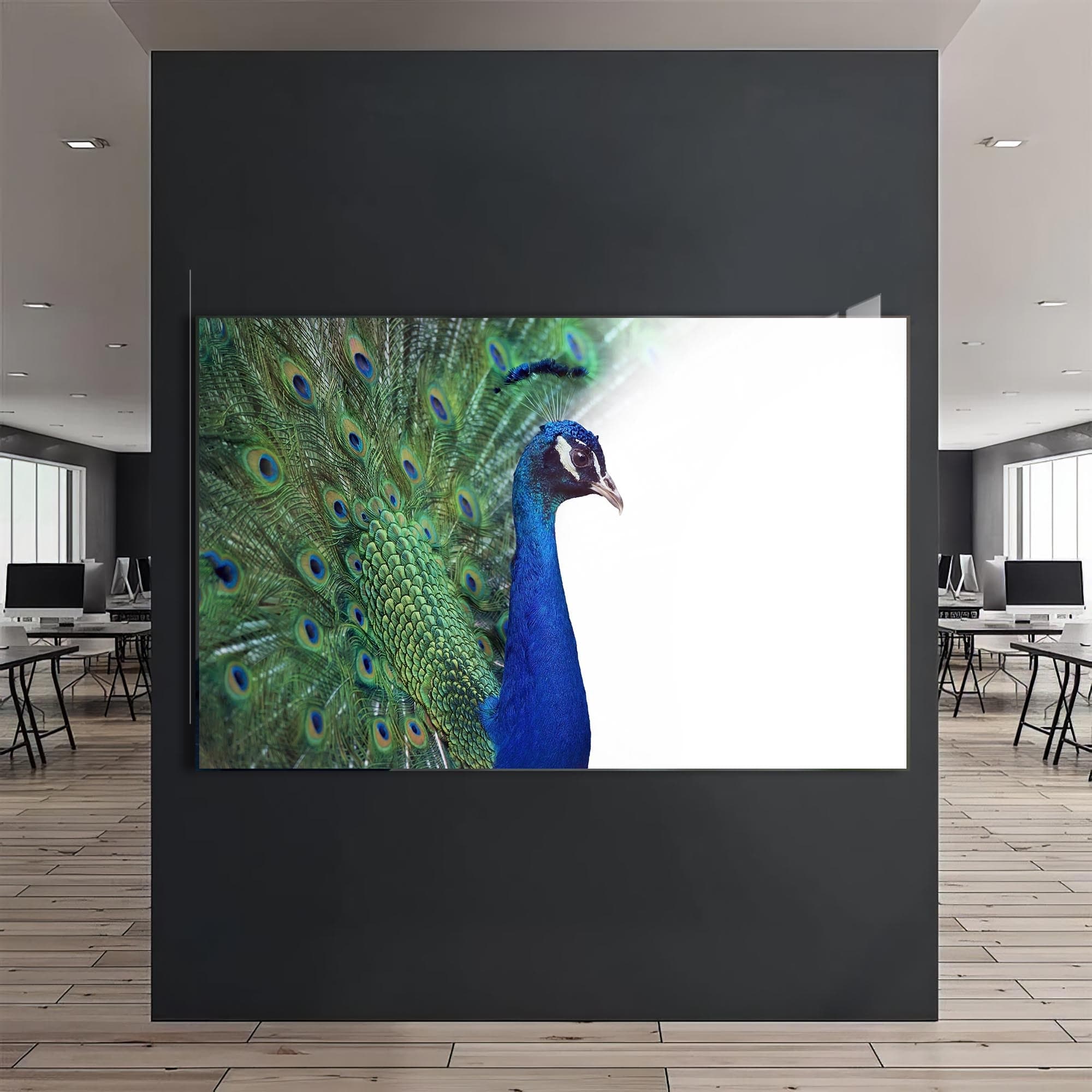 Artronauts Glass Print White Peacock Elegance – Animal Tempered Glass Wall Art