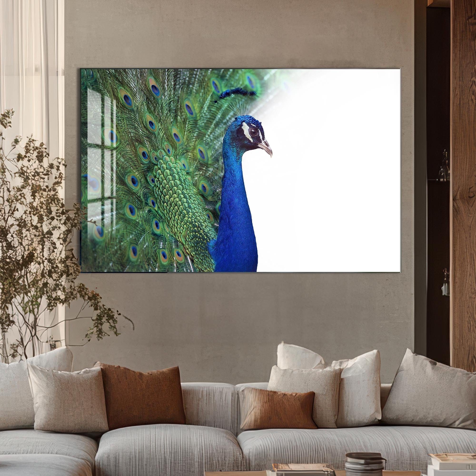 Artronauts Glass Print White Peacock Elegance – Animal Tempered Glass Wall Art