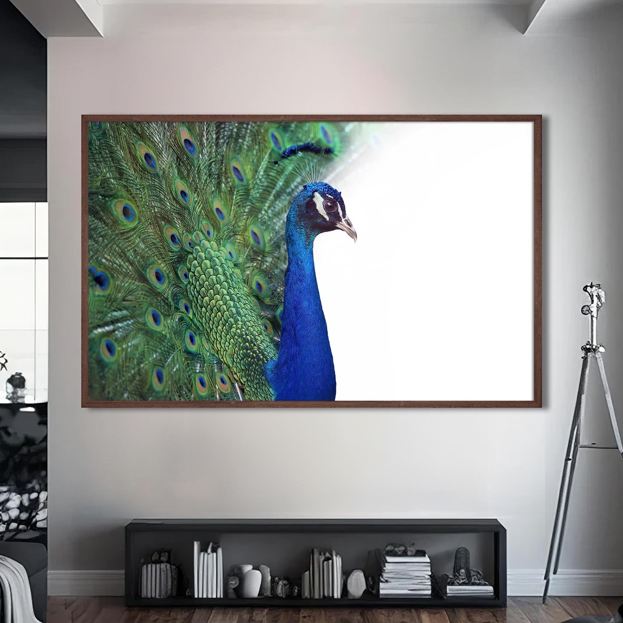 Artronauts Glass Print S | 72x46 cm | 28.3"x18.1" / Walnut White Peacock Elegance – Animal Tempered Glass Wall Art