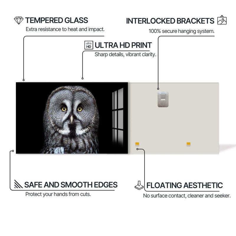 Artronauts Glass Print Grey Owl Close-Up – Animal Tempered Glass Wall Art