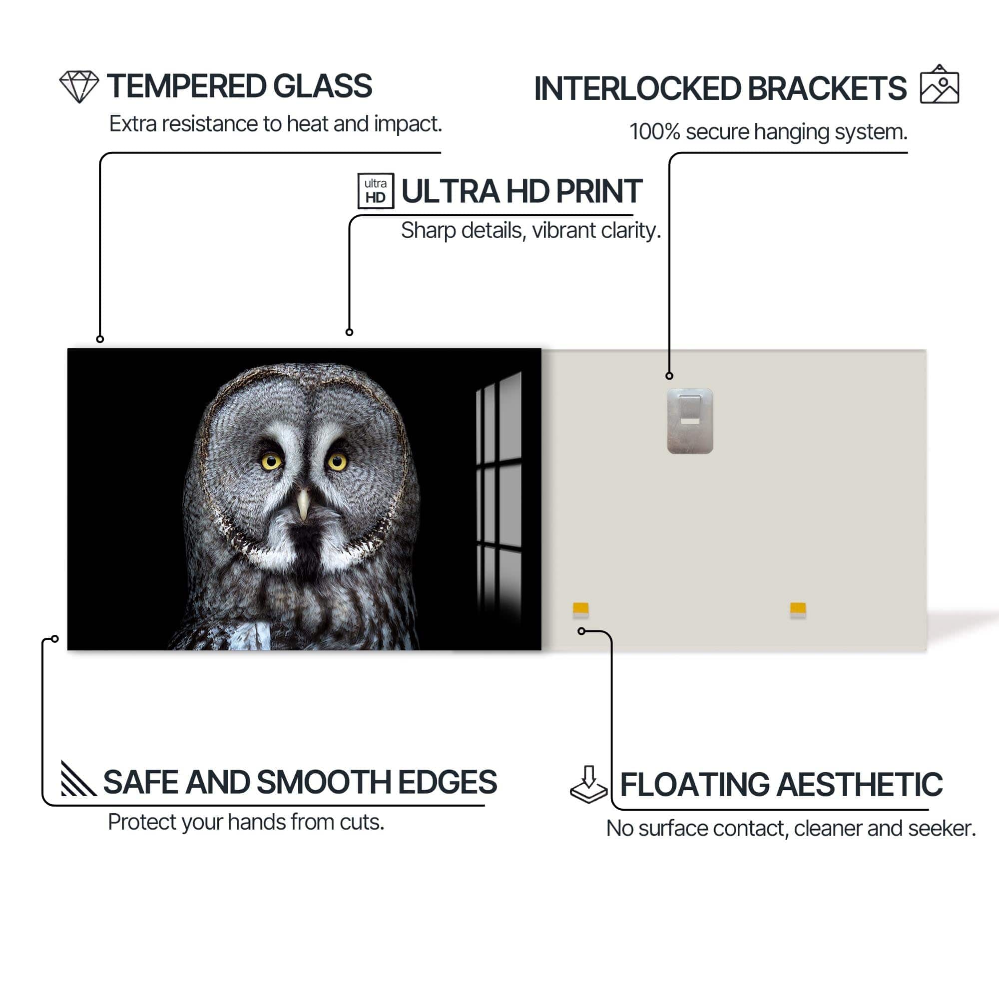 Artronauts Glass Print Grey Owl Close-Up – Animal Tempered Glass Wall Art