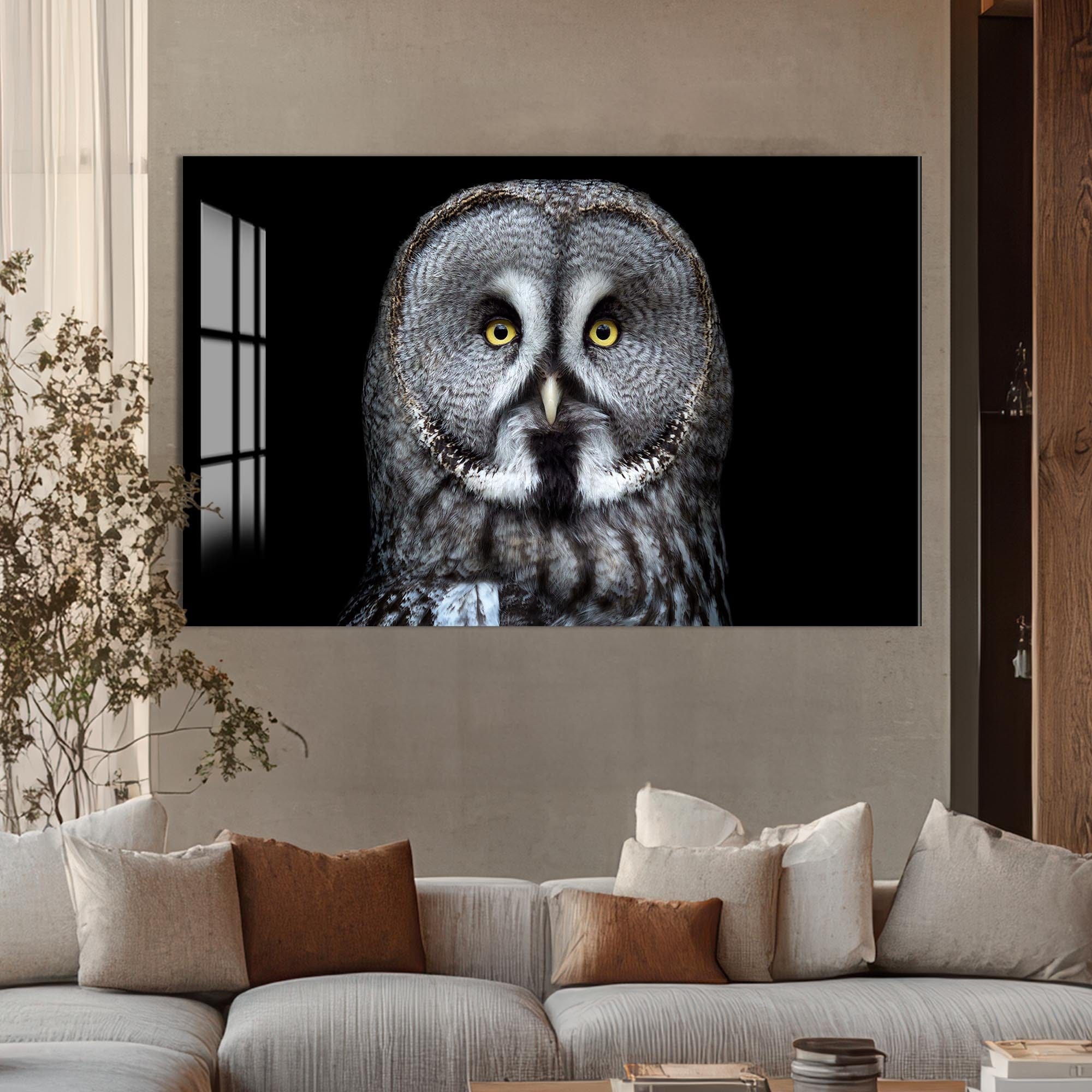 Artronauts Glass Print Grey Owl Close-Up – Animal Tempered Glass Wall Art