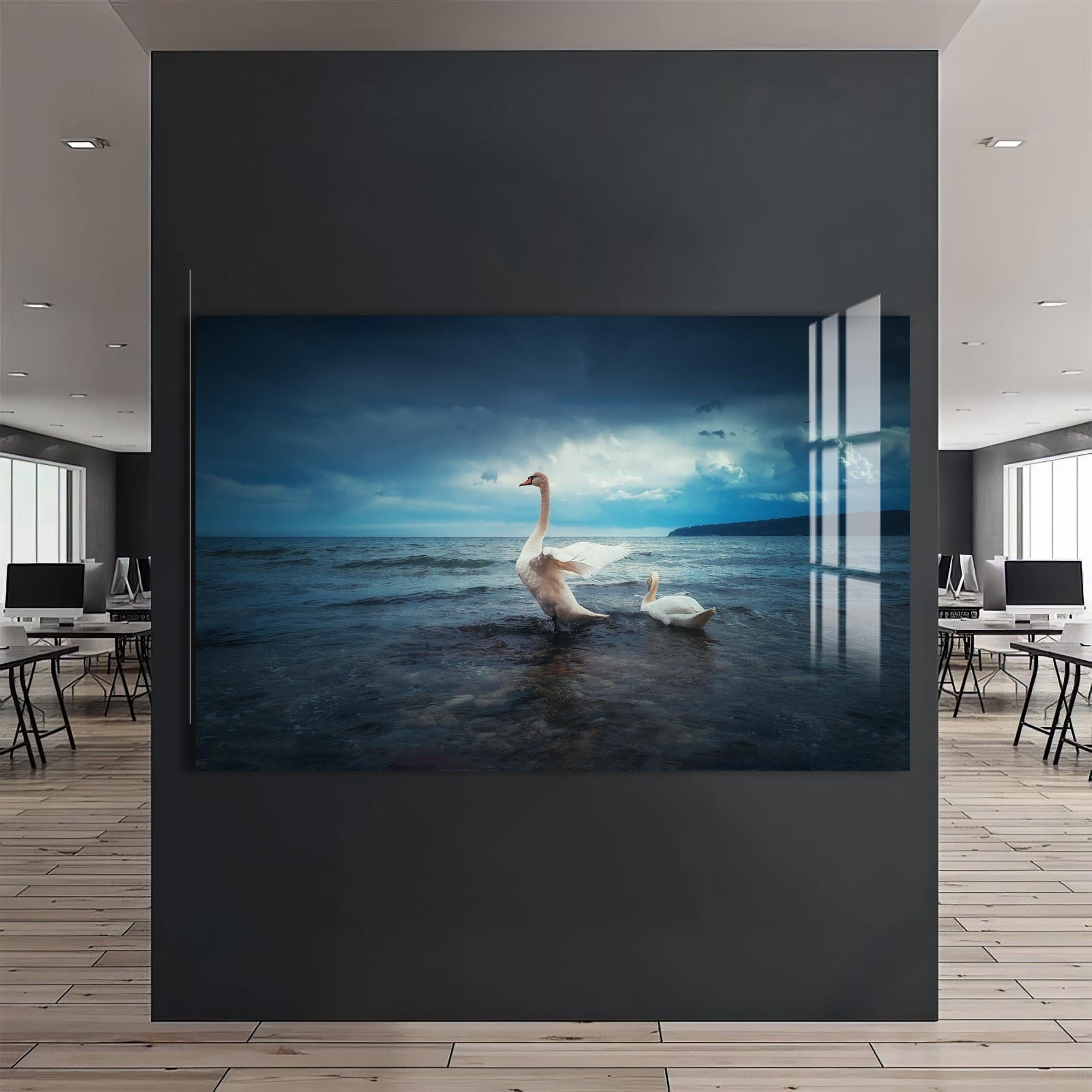 Artronauts Glass Print Swans at the Shoreline – Animal Tempered Glass Wall Art