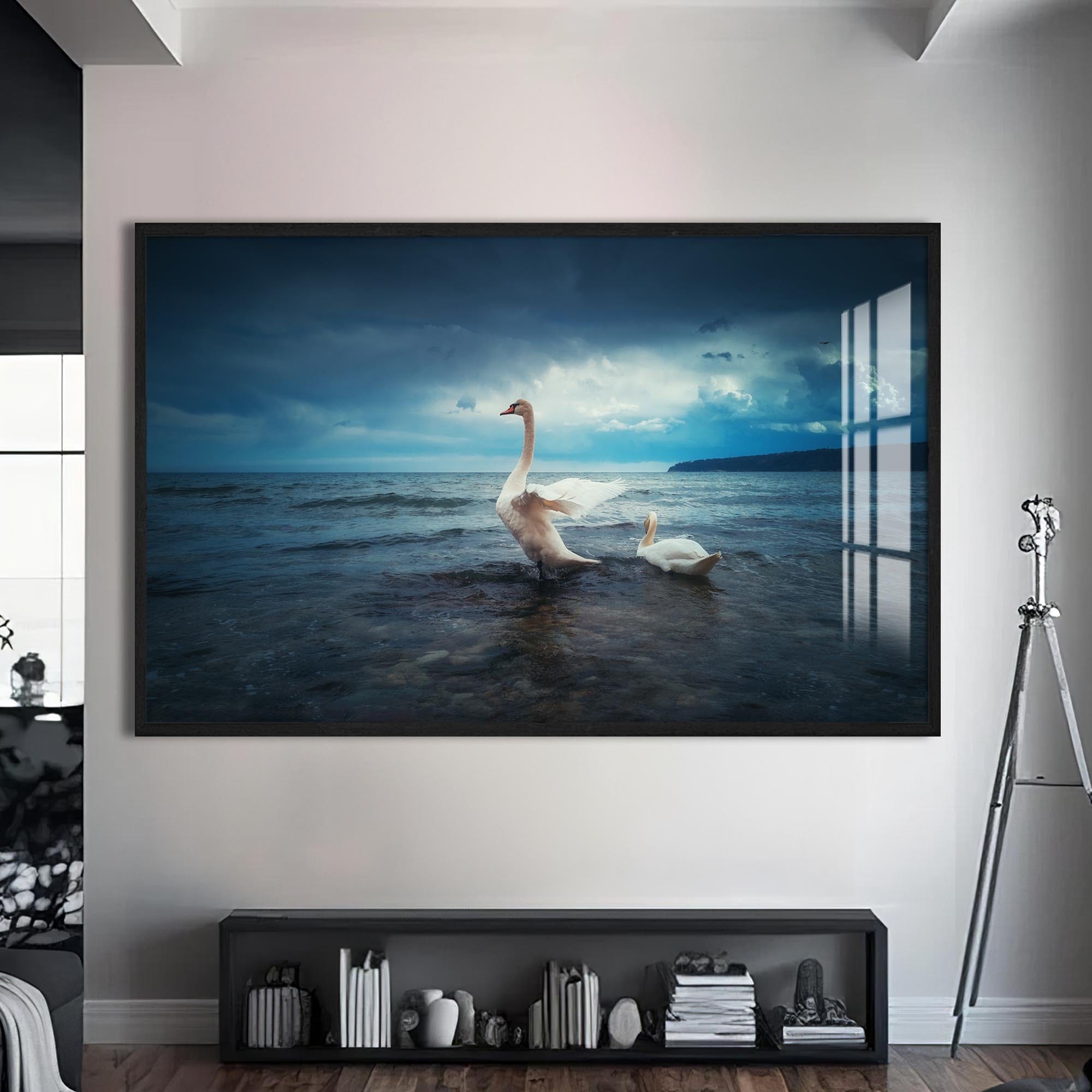 Artronauts Glass Print S | 72x46 cm | 28.3"x18.1" / Black Swans at the Shoreline – Animal Tempered Glass Wall Art