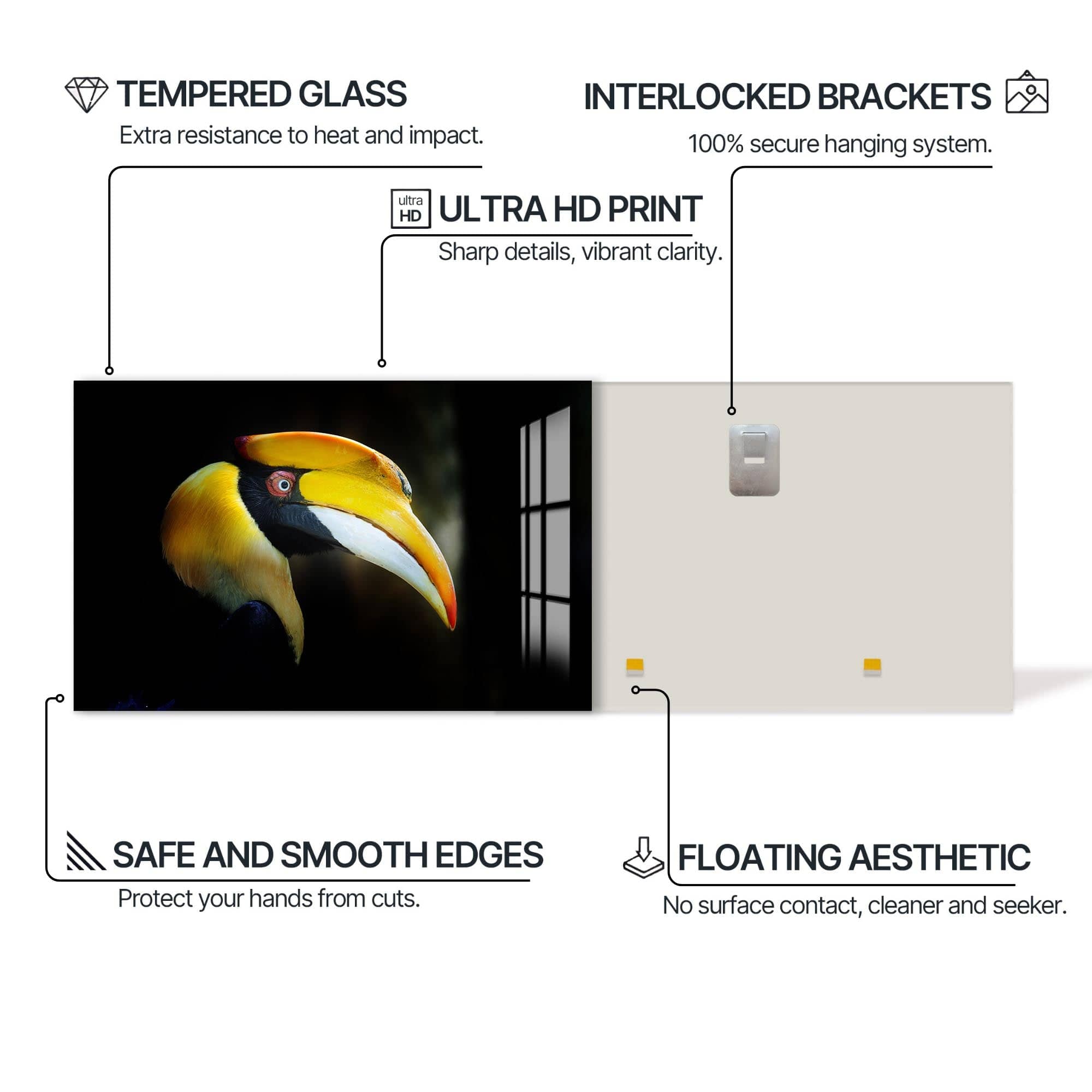 Artronauts Glass Print Yellow Hornbill Portrait – Animal Tempered Glass Wall Art