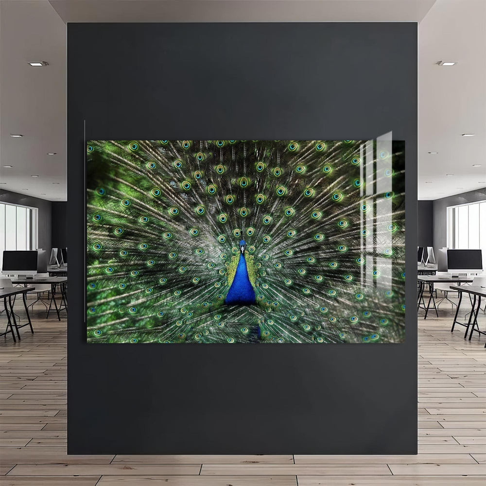 Artronauts Glass Print Peacock Feathers Spread – Animal Tempered Glass Wall Art