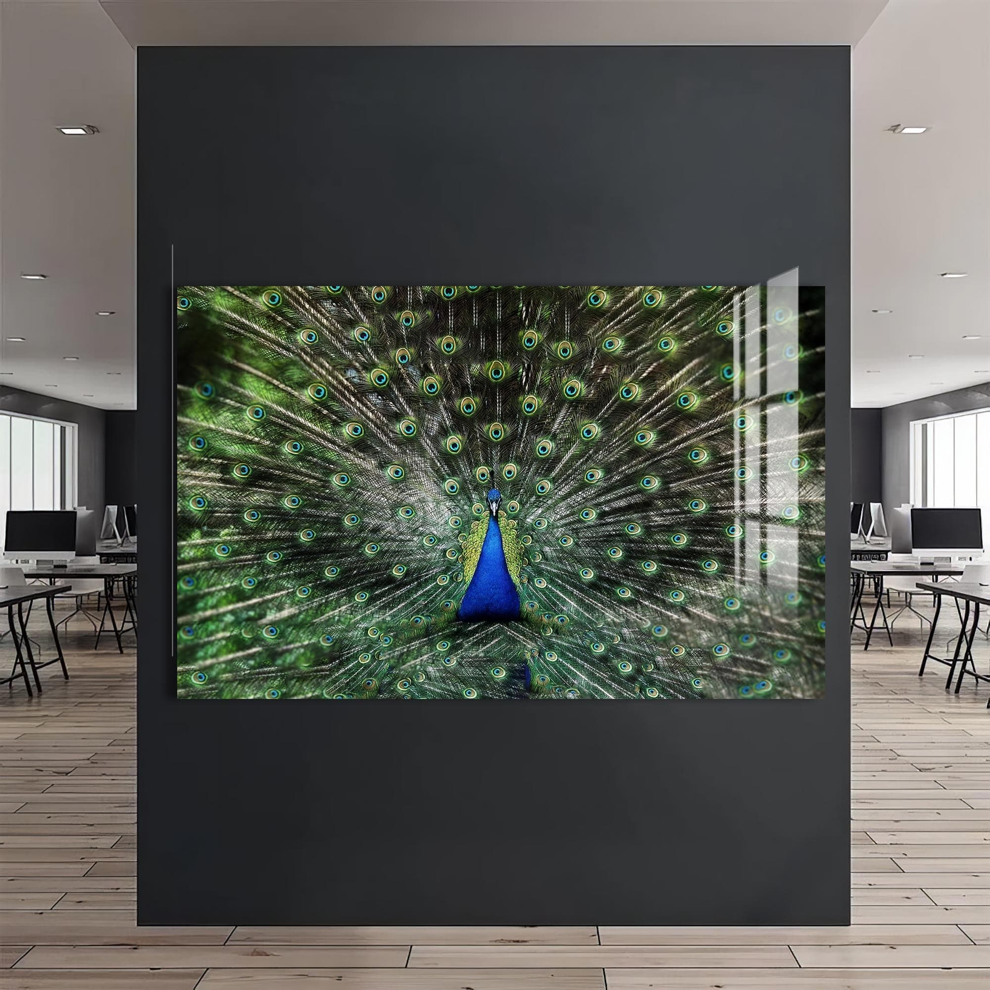 Artronauts Glass Print Peacock Feathers Spread – Animal Tempered Glass Wall Art