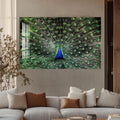 Artronauts Glass Print Peacock Feathers Spread – Animal Tempered Glass Wall Art