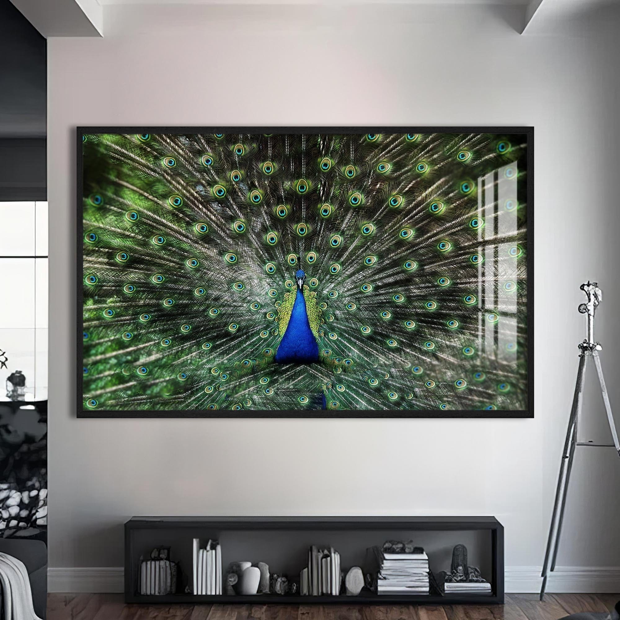 Artronauts Glass Print S | 72x46 cm | 28.3"x18.1" / Black Peacock Feathers Spread – Animal Tempered Glass Wall Art