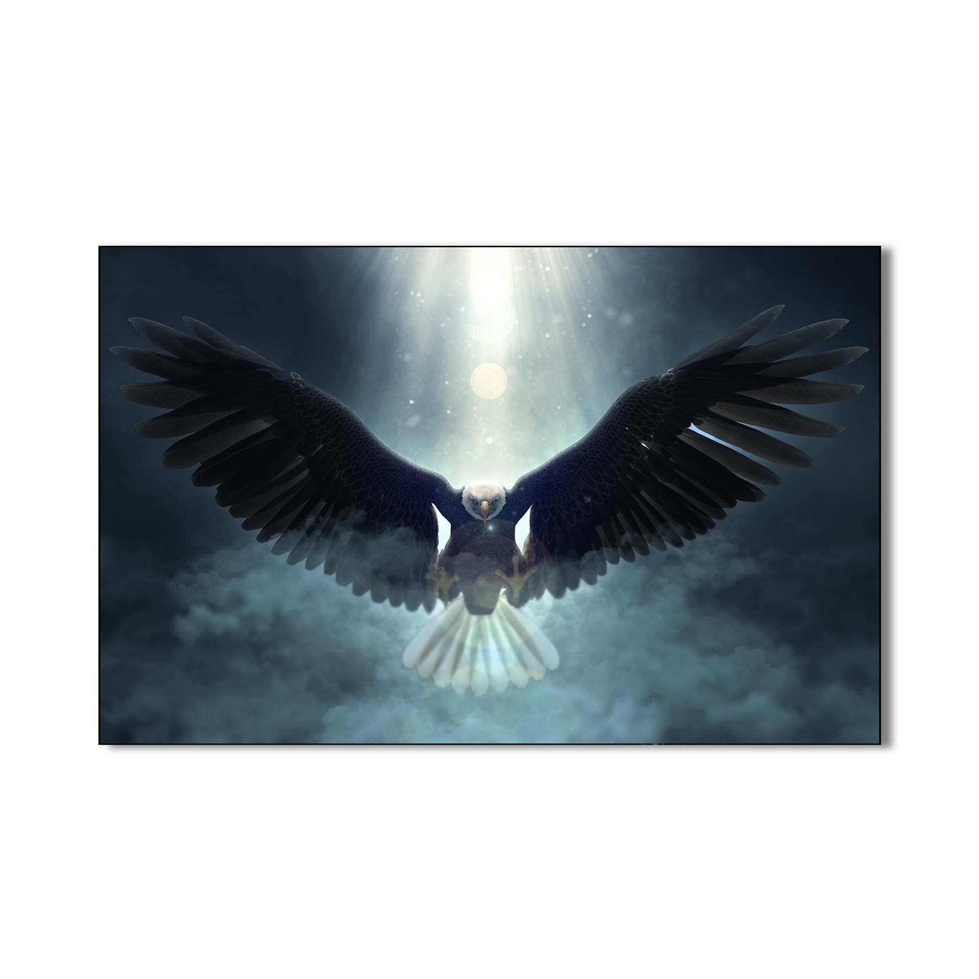 Artronauts Glass Print Eagle in Divine Light – Animal Tempered Glass Wall Art